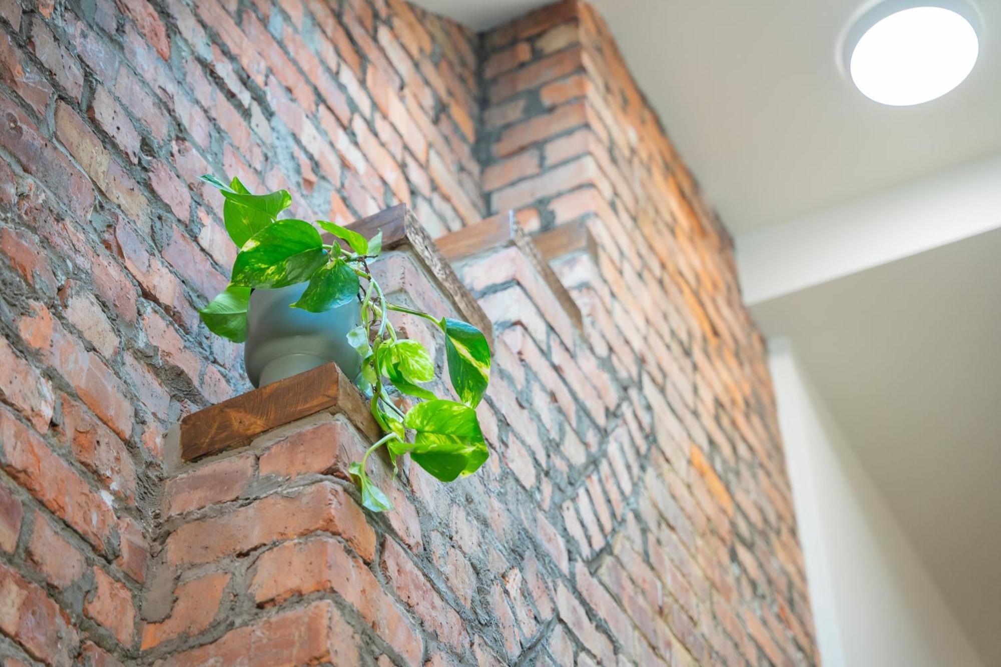 The Links Suites Newcastle  Buitenkant foto